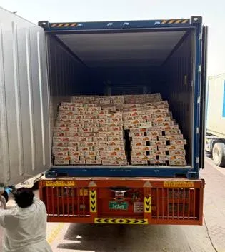 UP mangoes reach Dubai by sea: 12.5 tonnes in landmark export route