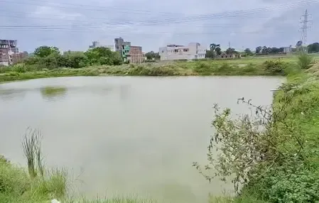 बिहार : प्रधानमंत्री मत्स्य संपदा योजना से शेखपुरा की महिलाएं बन रहीं आत्मनिर्भर