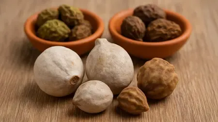 छोटी हरड़: प्रकृति का उपहार, आपके संपूर्ण स्वास्थ्य का रक्षक