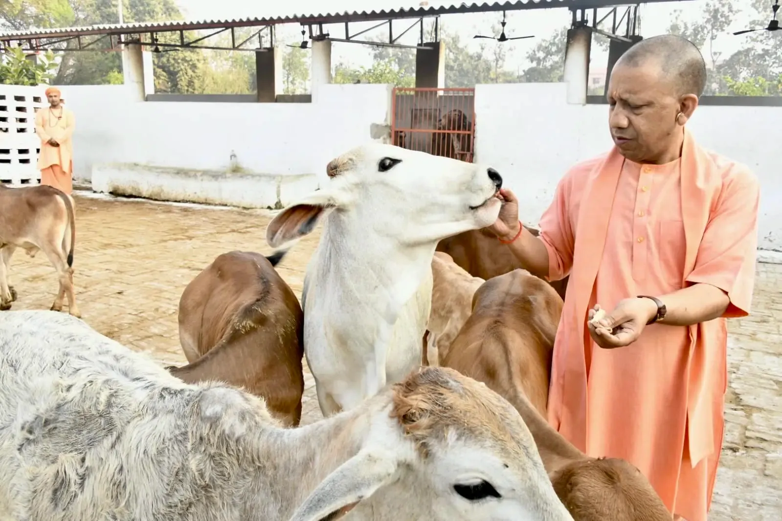 क्या यूपी में 'काऊ टूरिज्म' से ग्रामीण अर्थव्यवस्था को नई दिशा मिलेगी?