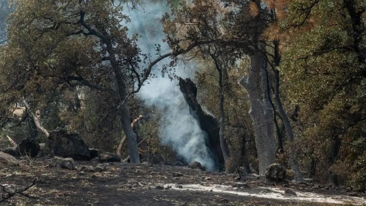 2025 Climate Predictions Indicate Increased Wildfire Risks During Dry Winter in the United States