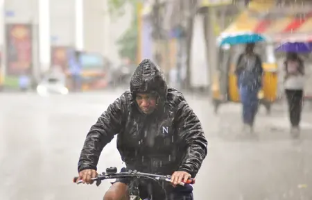 Will 2025 Continue the Trend of Above-Normal Rainfall?