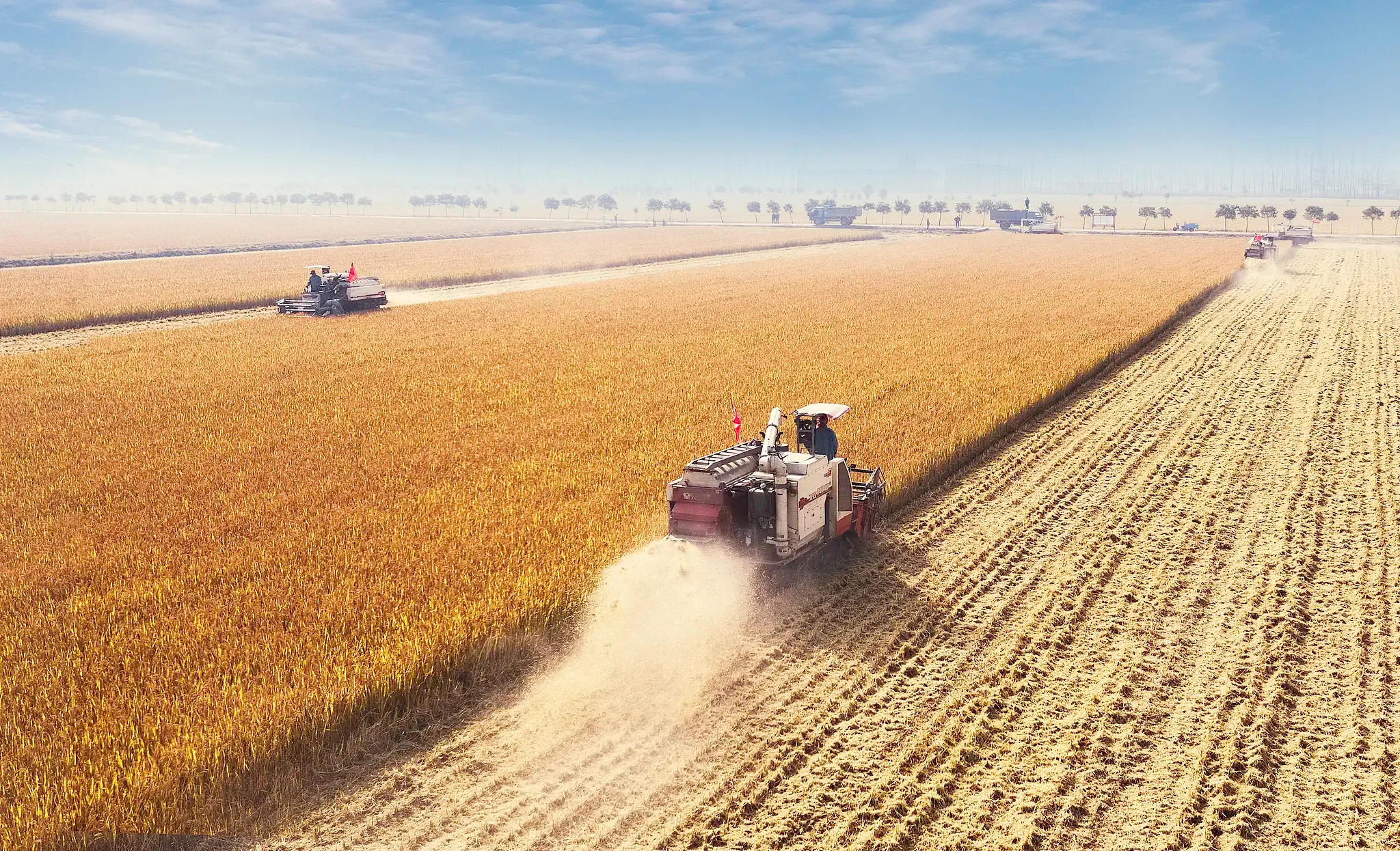 क्या 2025 में चीन का अनाज उत्पादन 7 खरब किलोग्राम से अधिक होगा?