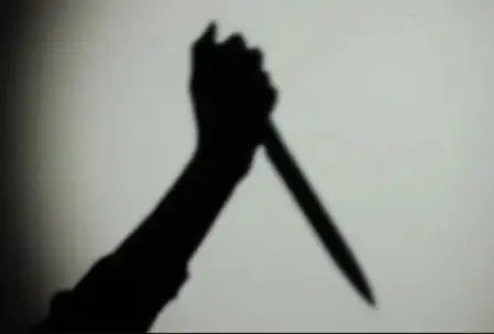 Brutal Daylight Murder: 20 Stab Wounds in Mumbai