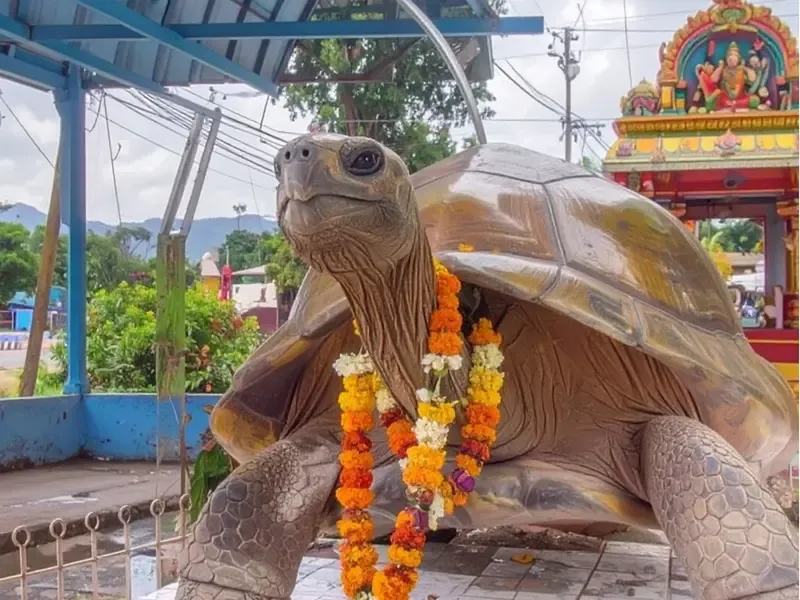 क्या आप जानते हैं श्री कुर्मनाथ स्वामी मंदिर के बारे में जहाँ भगवान विष्णु की पूजा कछुए के रूप में होती है?