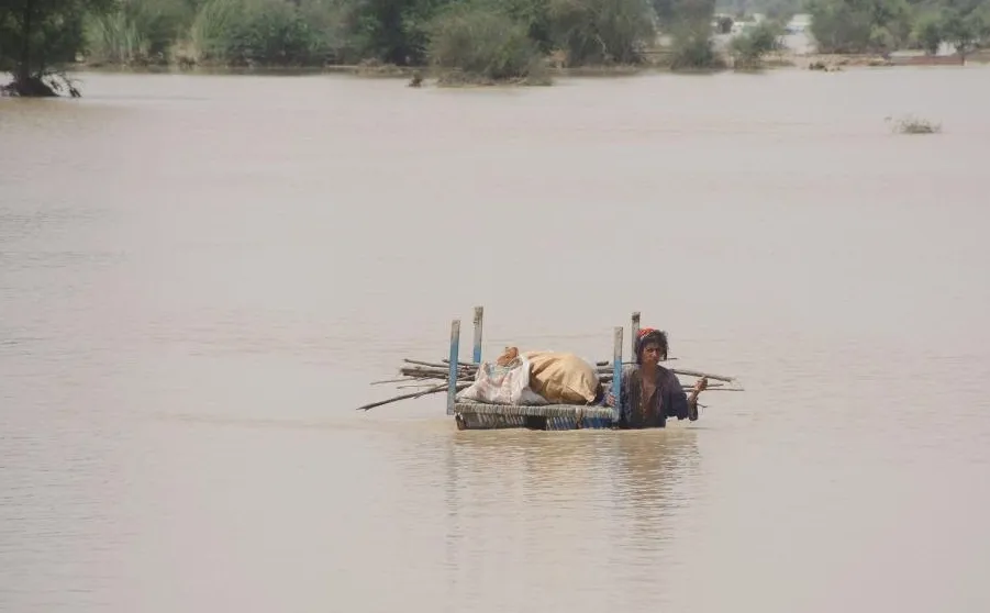 How Many Lives Have Been Lost Due to Monsoon Rains in Pakistan?
