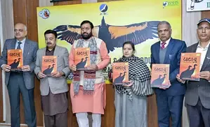 25 White-Backed Vultures Released into the Wild in Haryana