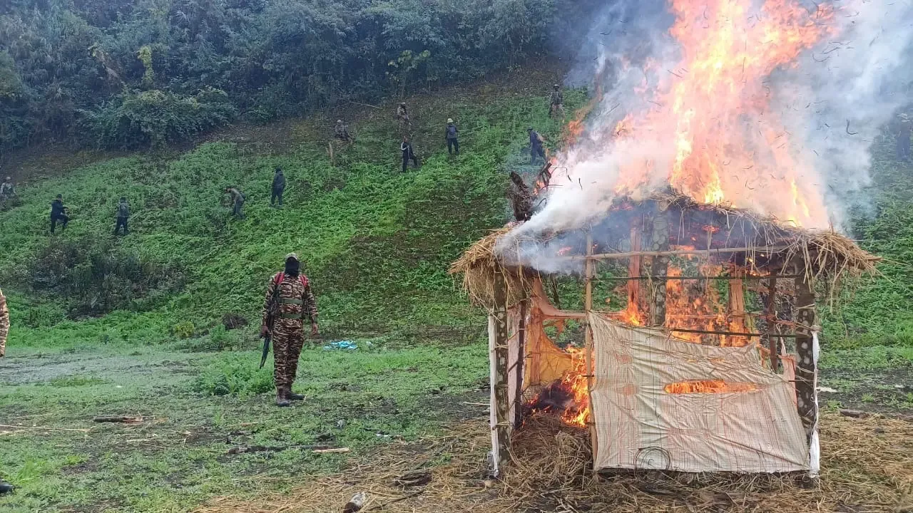 How Many Acres of Illegal Poppy Cultivation Were Destroyed in Manipur?