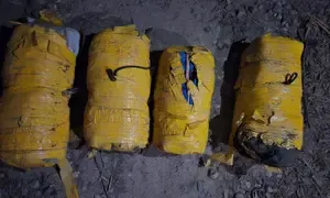30 kg Heroin from Pakistan Seized in Punjab; One Arrested