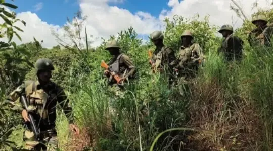 Were 3 NSCN militants killed in an encounter in Assam?