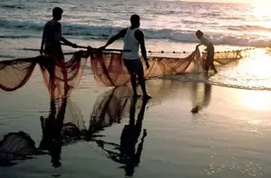 41 Tamil Nadu Fishermen Freed from Sri Lanka Return Home