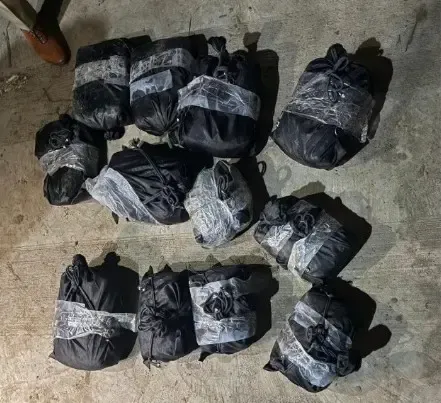 What Did Amritsar Police Uncover in the Narco-Terror Bust?