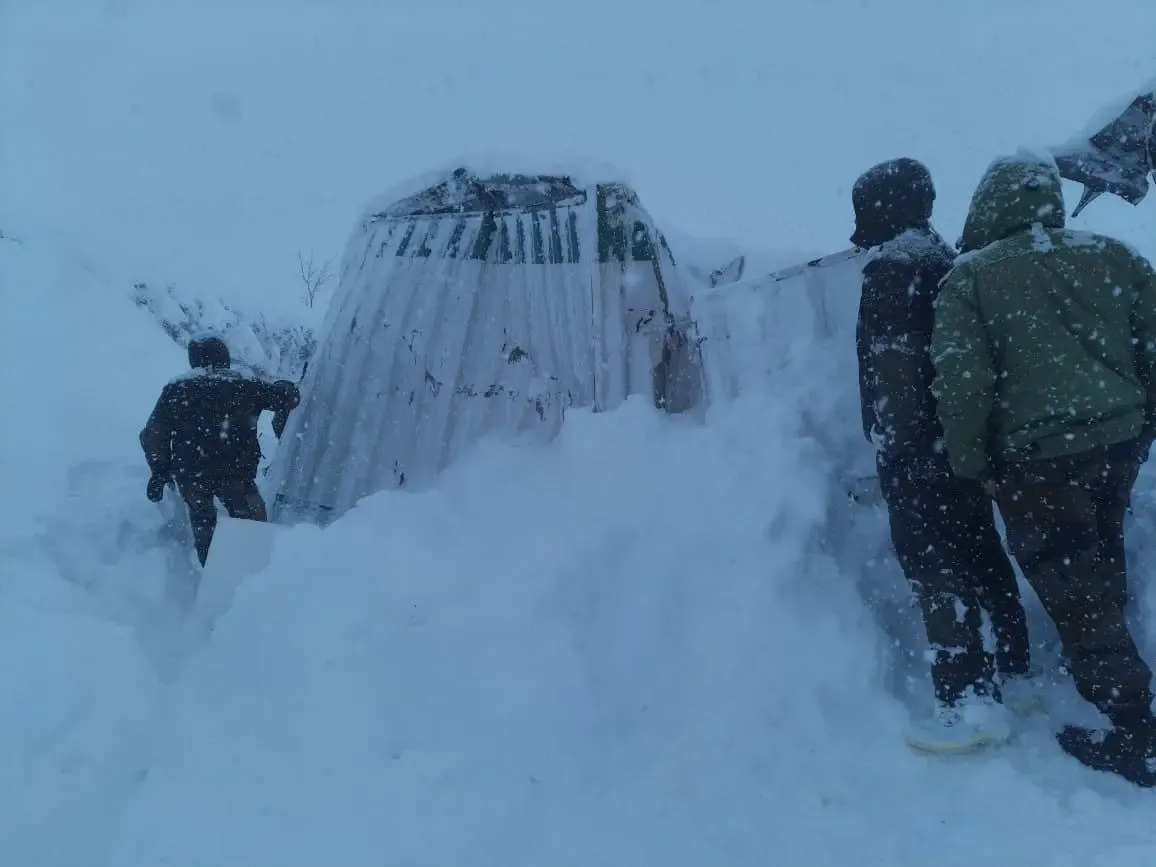 42 Workers Trapped in Avalanche in Uttarakhand; Multi-Agency Rescue Operations Underway