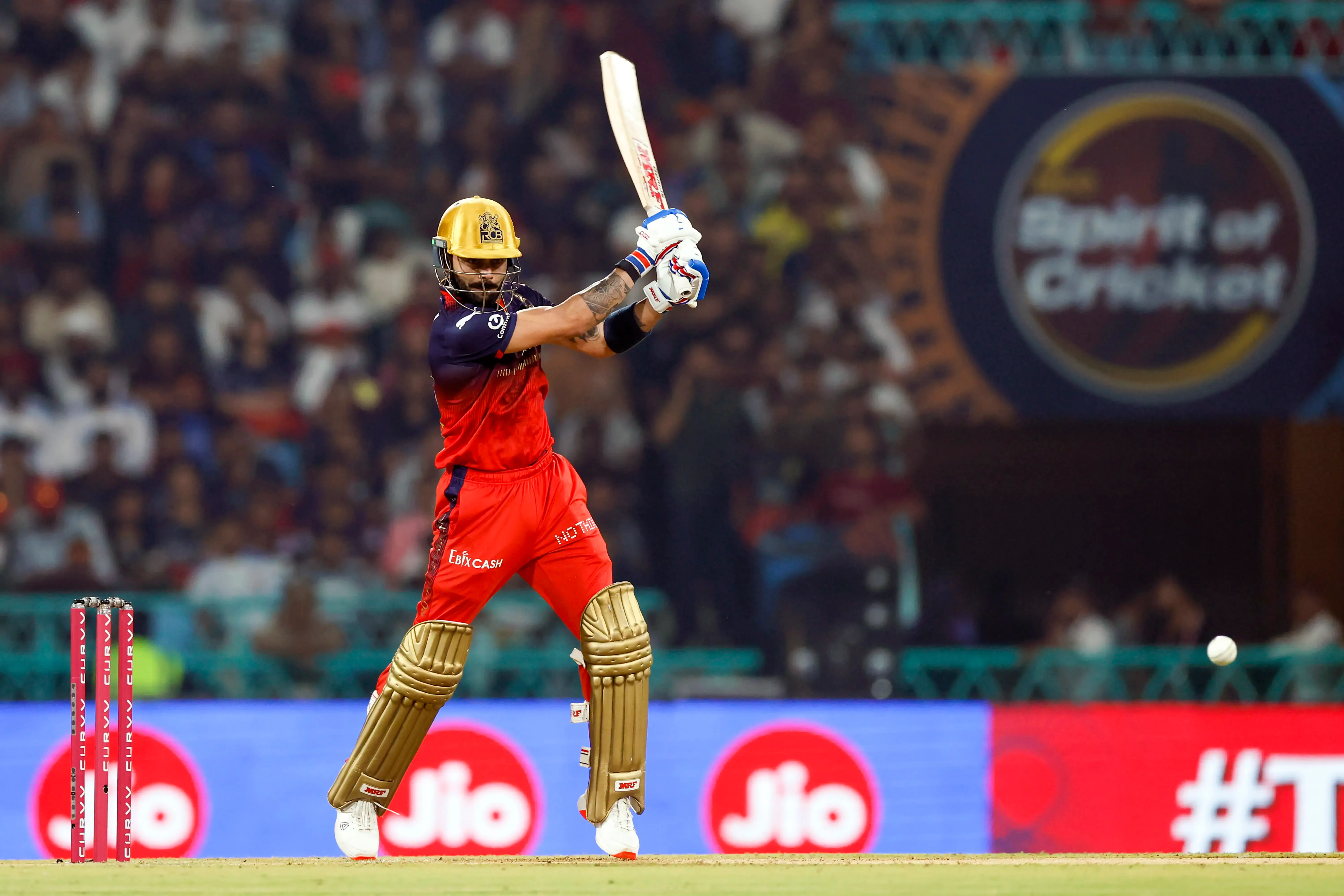 आईपीएल में एक सीजन में 800 से अधिक रन बनाने वाले चार मुख्य बल्लेबाज