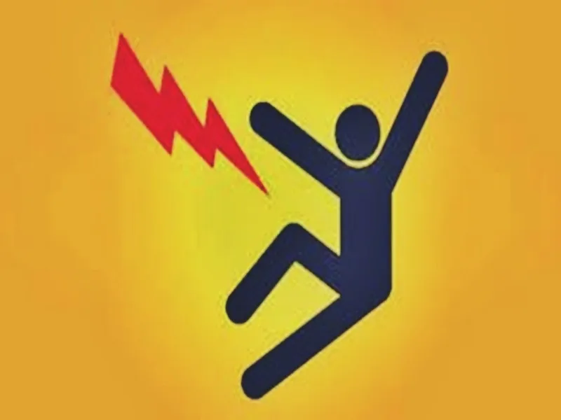 How Did a 5-Year-Old Boy Die from Electrocution in Karnataka's Tumakuru?