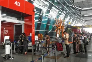 64.5 mn passengers carried on international routes in Jan-Nov 2024, up 11.4 pc: Centre
