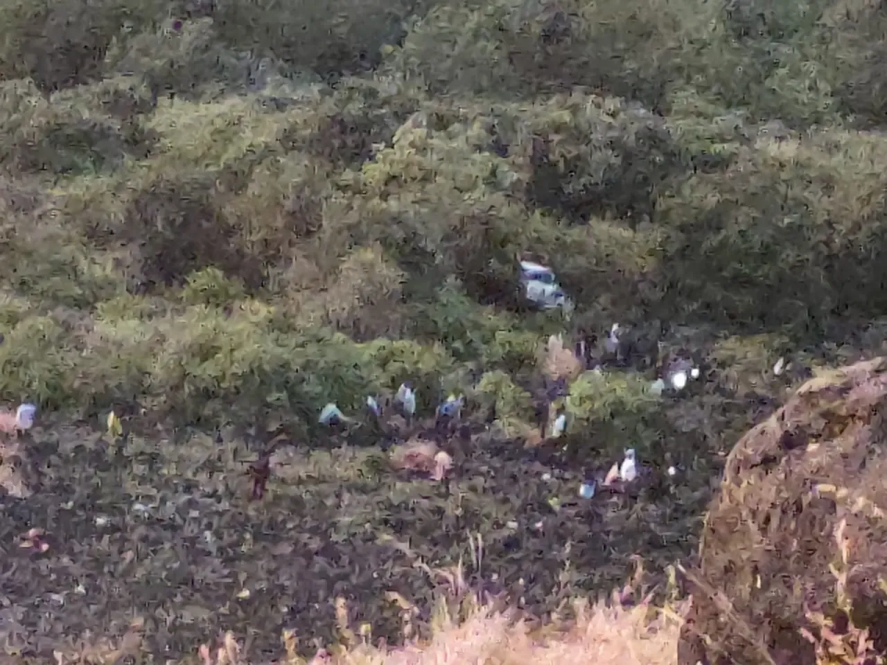 What Happened in Nashik that Led to 6 Fatalities?