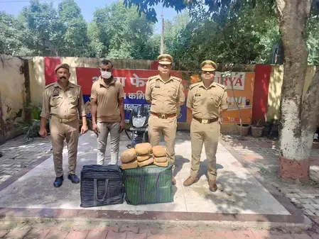 नोएडा में ₹8 लाख का 41 किलो गांजा बरामद, झारखंड का युवक गिरफ्तार; बिहार-NCR तस्करी नेटवर्क की जांच