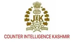 9 detained in J&K Counter-Intelligence's crackdown against online terror in Valley