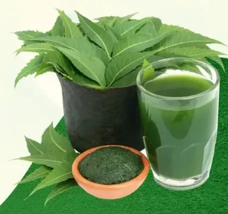 क्या नीम लिवर को डिटॉक्स कर मुहांसों को दूर करता है?