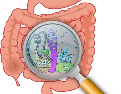 A pill to change gut microbiome key to fight obesity, related heart disease & diabetes risk