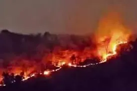 झारखंड के जंगलों में आग का संकट, हाथियों के निवास पर मंडरा रहा खतरा