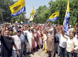 AAP leads Punjab civic polls 2025: 178 wards won in early count trends