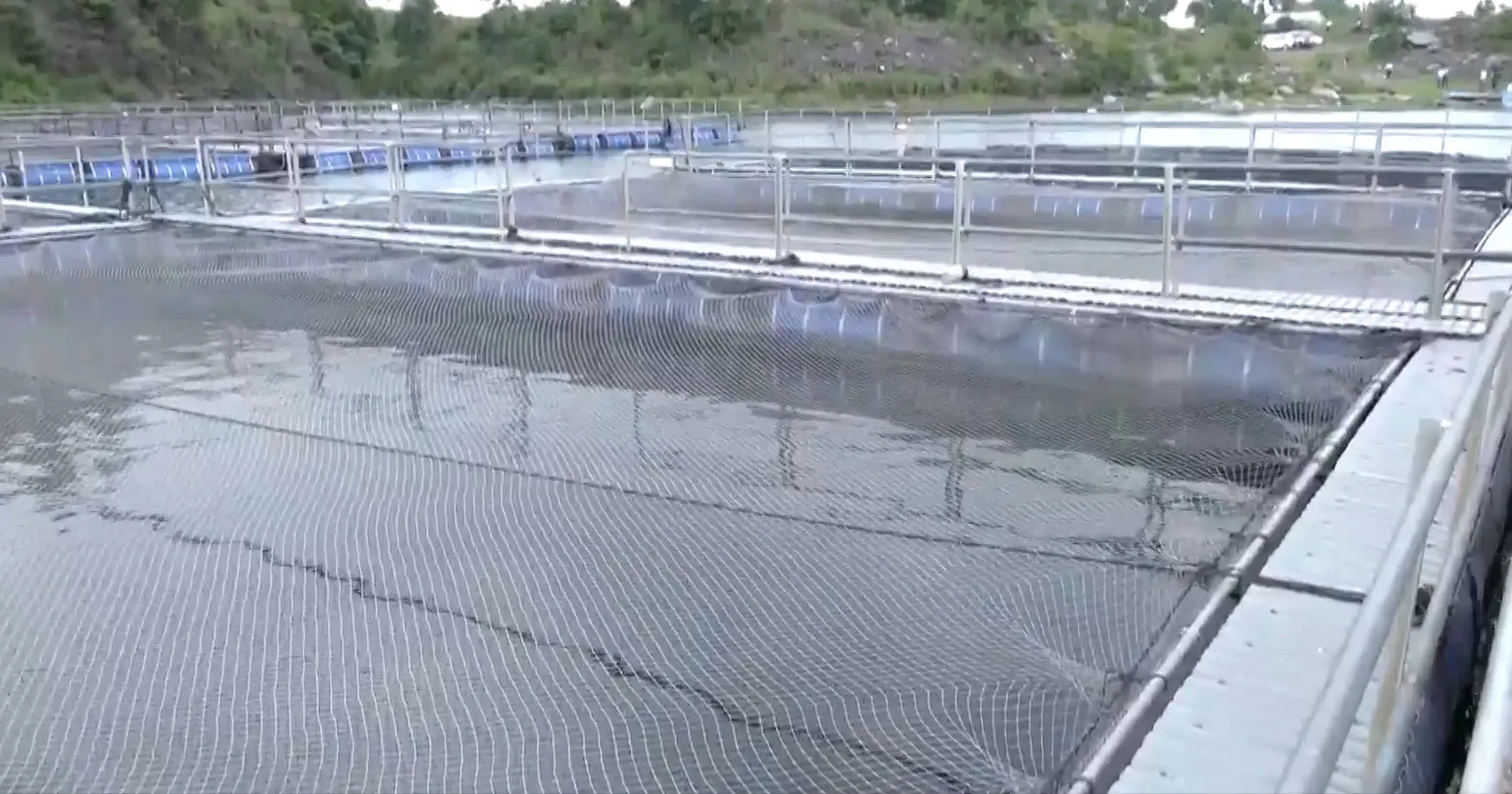 How Have Abandoned Coal Mines in Jharkhand Become Thriving Fish Farms?