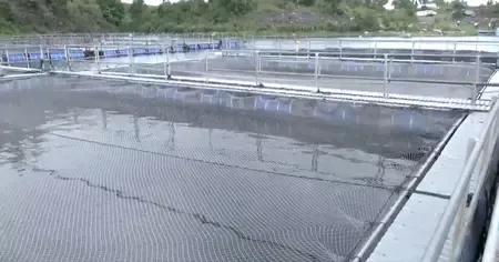 How Have Abandoned Coal Mines in Jharkhand Become Thriving Fish Farms?