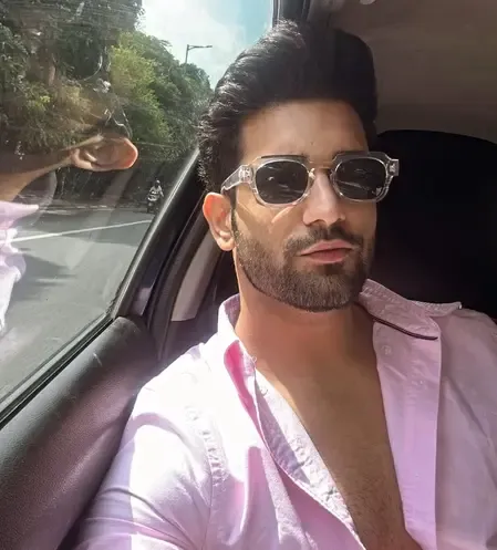 क्या अभिनेता अभिषेक मलिक ने बताया कि उन्हें अपने जीवनसाथी में कौन से गुण चाहिए?