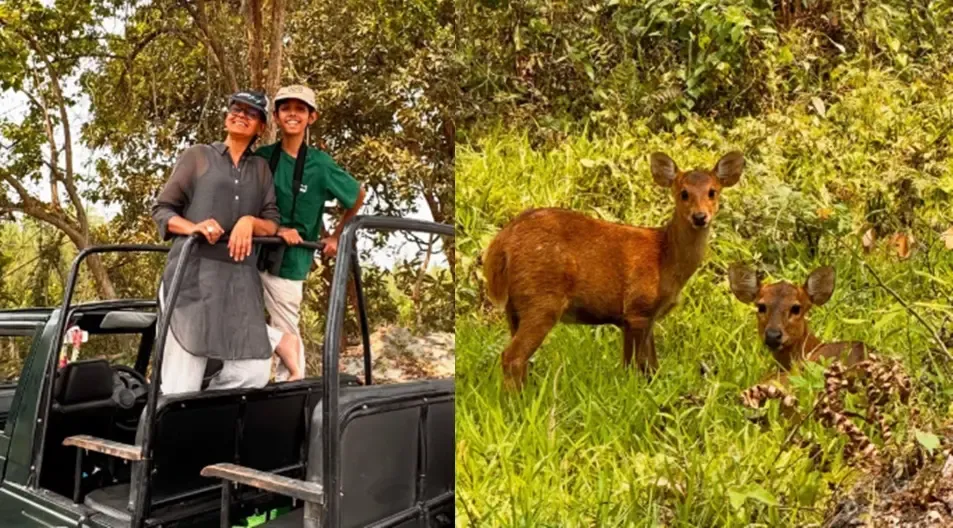 Nandita Das Shares Terrifying Rhino Encounter