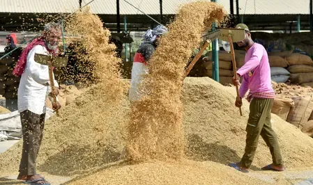 Have Adequate Procurement Centres Been Set Up as TN Govt Reports Samba and Paddy Harvest Progress?