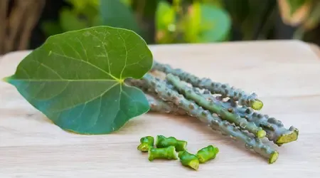 अदरक से लेकर तुलसी तक, ये 5 आयुर्वेदिक नुस्खे बनाएंगे आपको अंदर से मजबूत