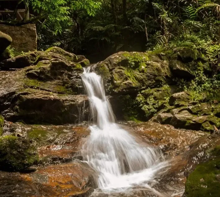 क्या अफ्रीका की जमीन के नीचे दबी है 'दौलत' और छुपे खजाने ने बदली जियो पॉलिटिक्स?