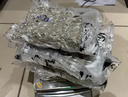 Ahmedabad Airport Customs seizes 1.93 kg hydroponic marijuana, arrests couple from Bangkok