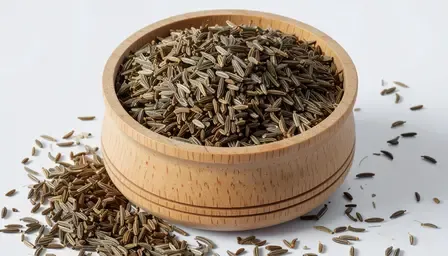 अगहन मास में जीरा खाना वर्जित, जानिए क्या कहती हैं पुराण और परंपराएं?