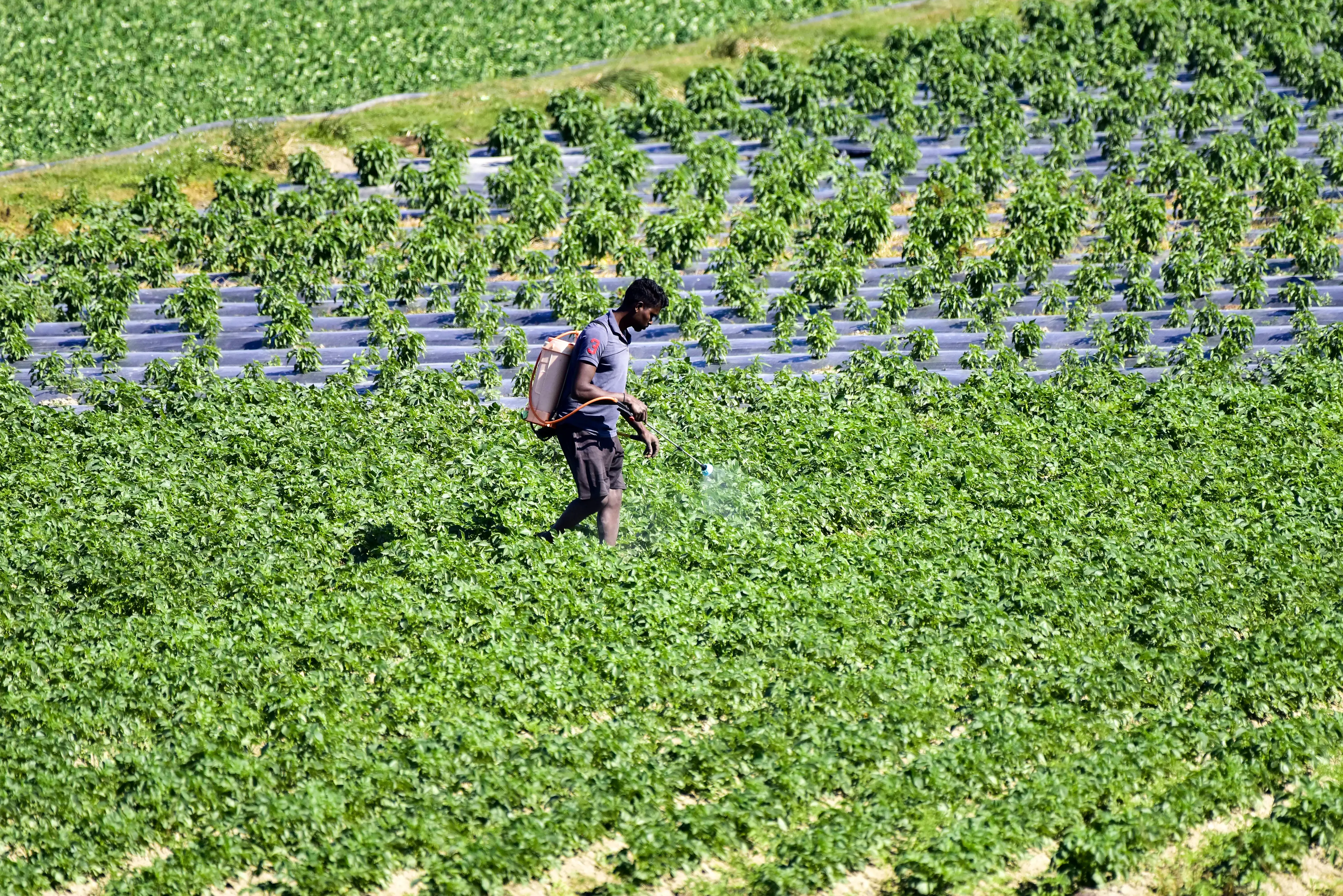 Should Agriculture Be the Cornerstone of National Transformation as per Niti Aayog's Findings?