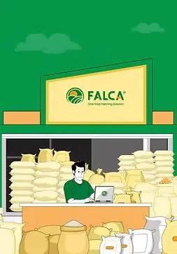 Falca's Losses Surge to Rs 15 Crore in FY24 Amid Rising Costs