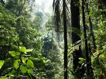 What Progress Will Be Reviewed at the 2026 UN Biodiversity Summit?