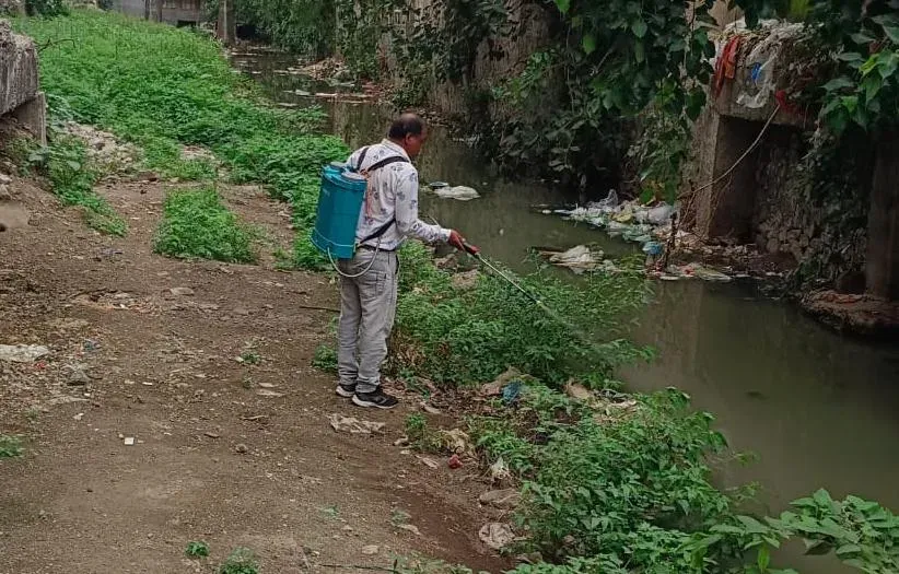 AMC seals 2 sites, issues 108 notices in Ahmedabad mosquito-control drive