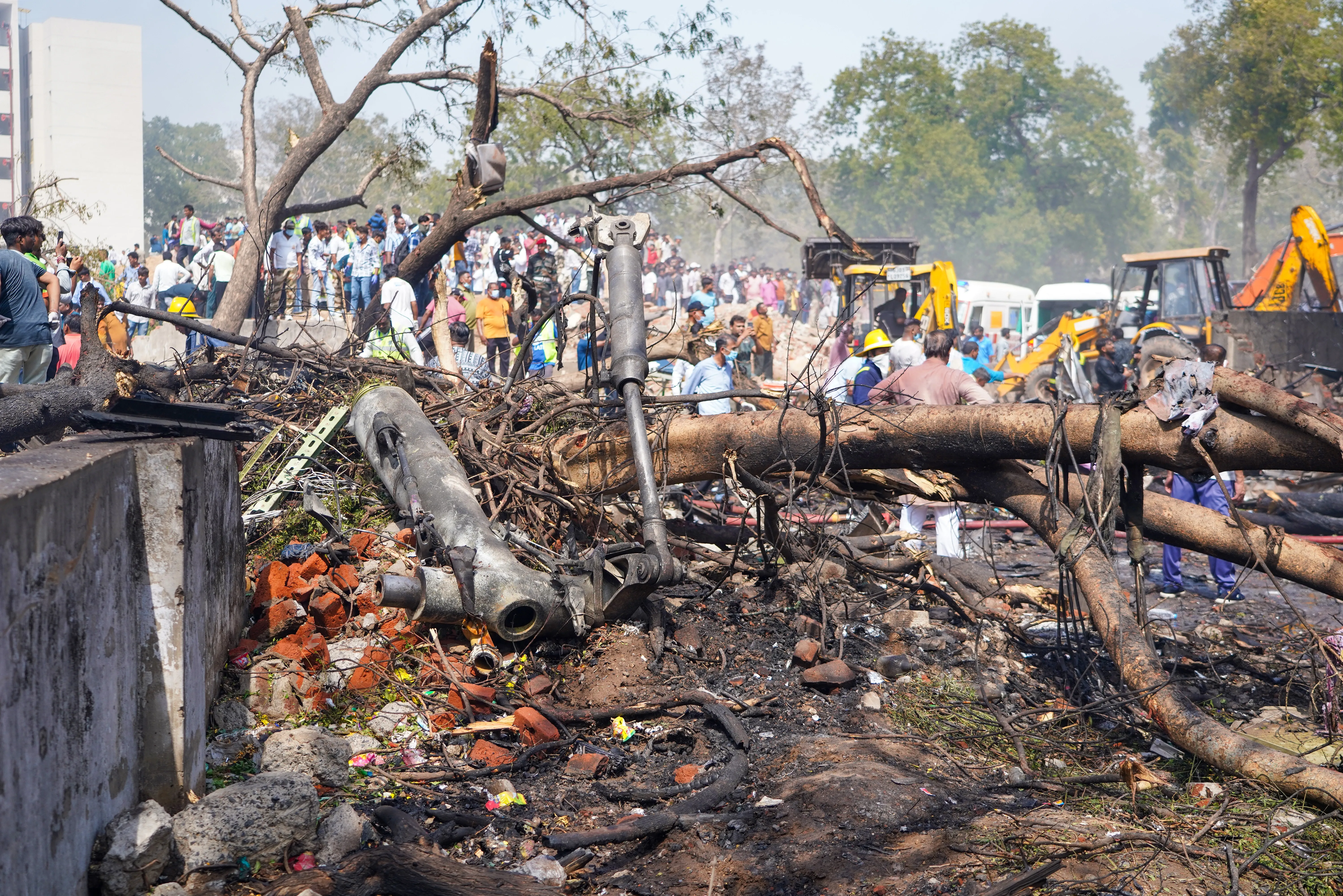 Why Did the NDA Government in Andhra Pradesh Postpone Its Anniversary Celebrations?