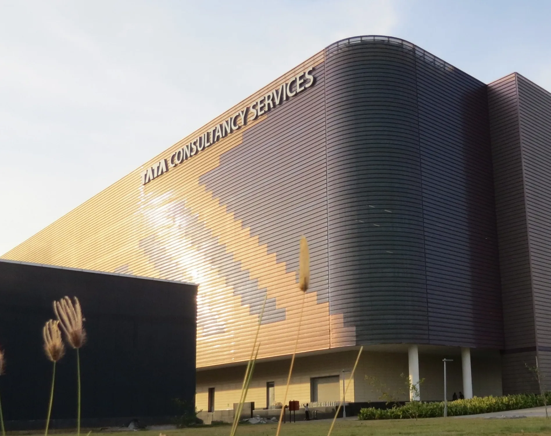 टीसीएस के सीईओ कृतिवासन: एआई से कर्मचारियों के लिए नए अवसरों का सृजन