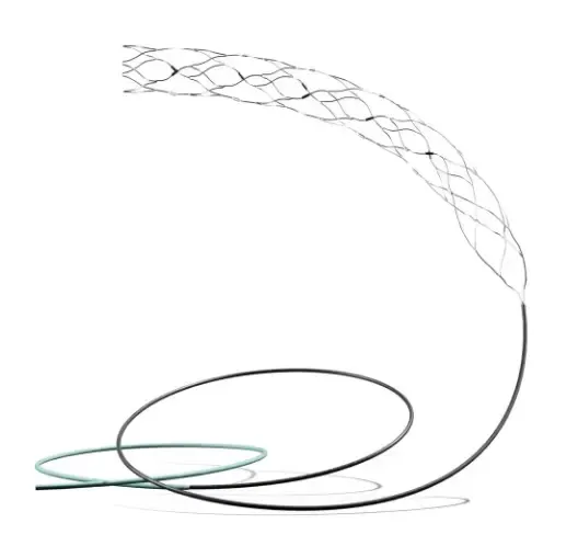 Could the AIIMS-led Trial of the Most Advanced Brain Stent Revolutionize Stroke Treatment?