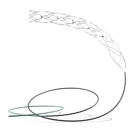 AIIMS-led trial on most advanced brain stent shows promise for stroke patients