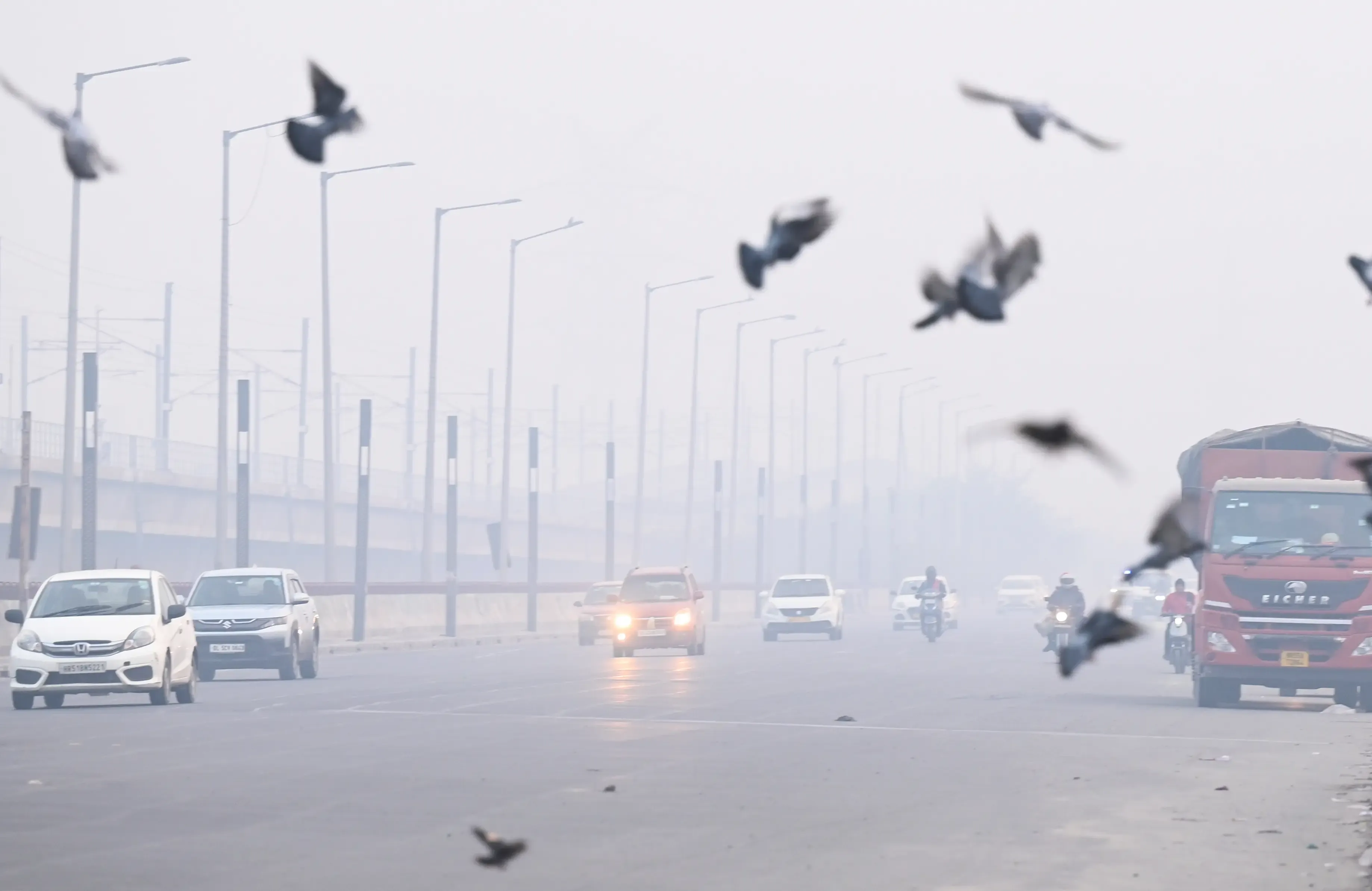 Can Air Pollution Heighten Anxiety and Trigger Panic Symptoms?