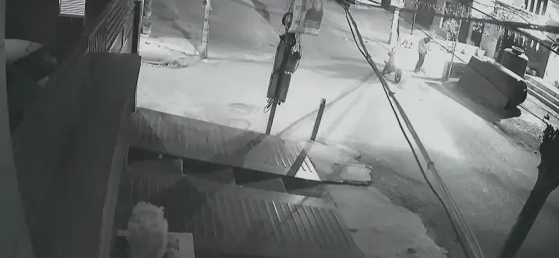 Akali Dal Demands Judicial Inquiry into Temple Grenade Attack in Amritsar