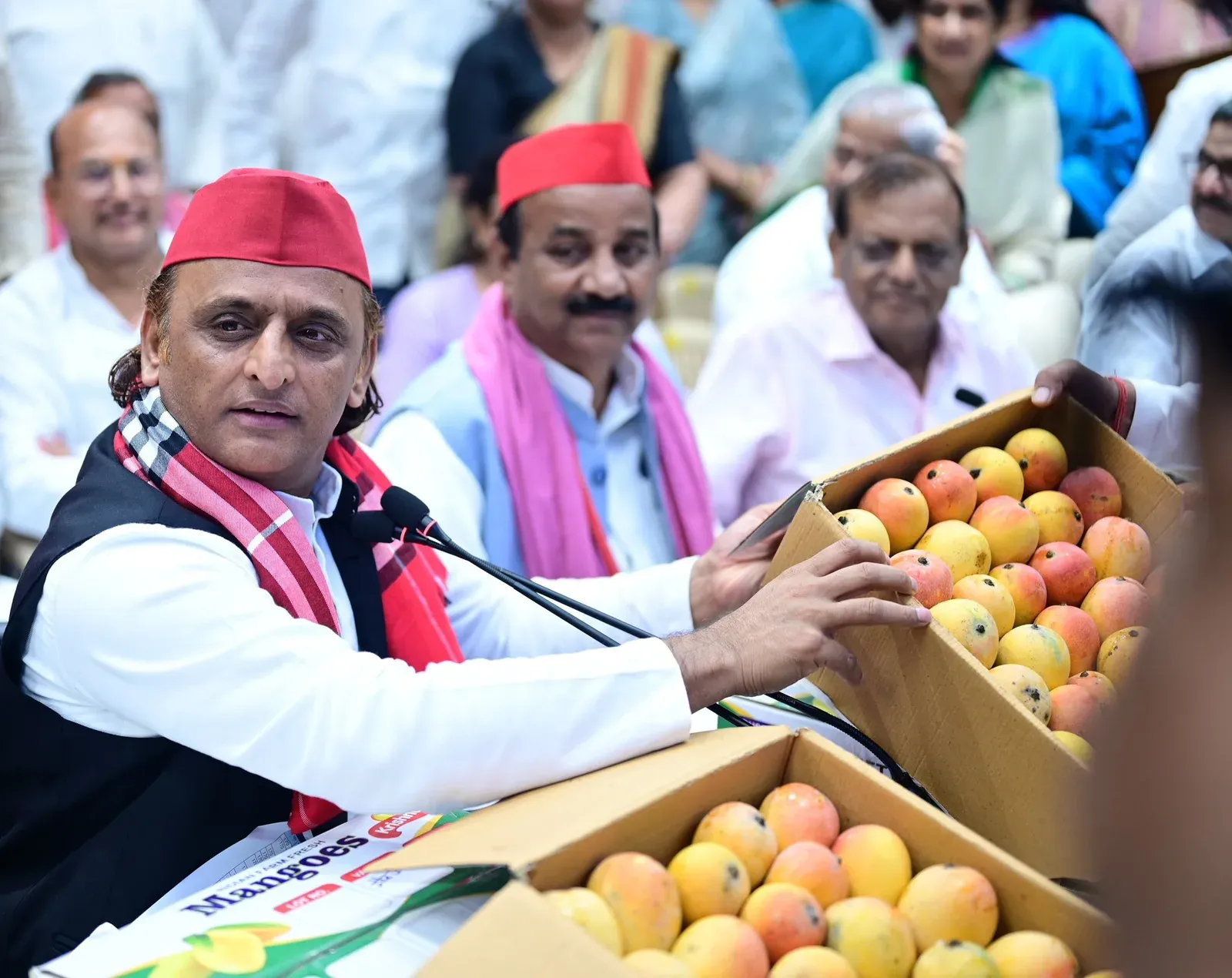 Akhilesh Yadav Celebrates UP Mangoes in Poetic X Post