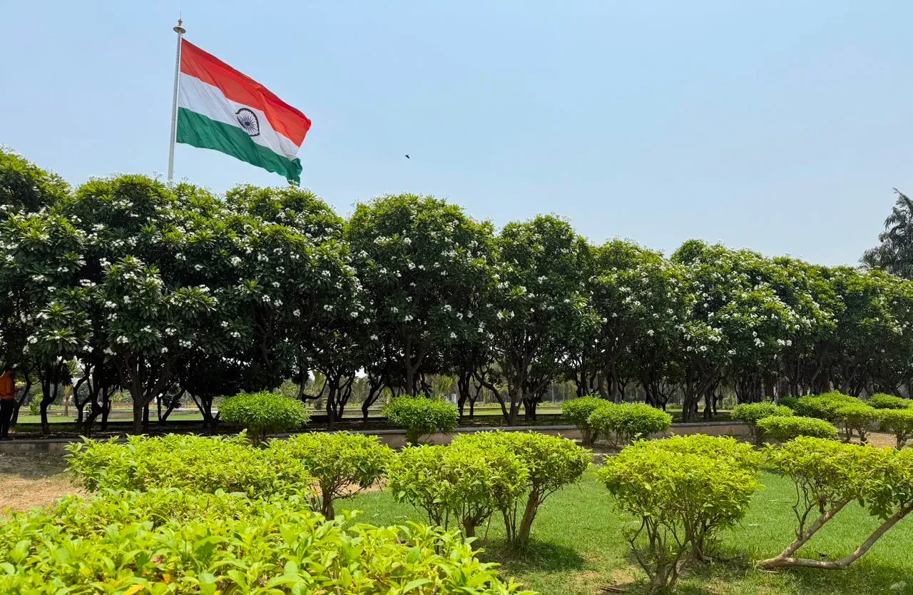 Akhilesh Yadav marks World Environment Day, cites UP tree-planting record