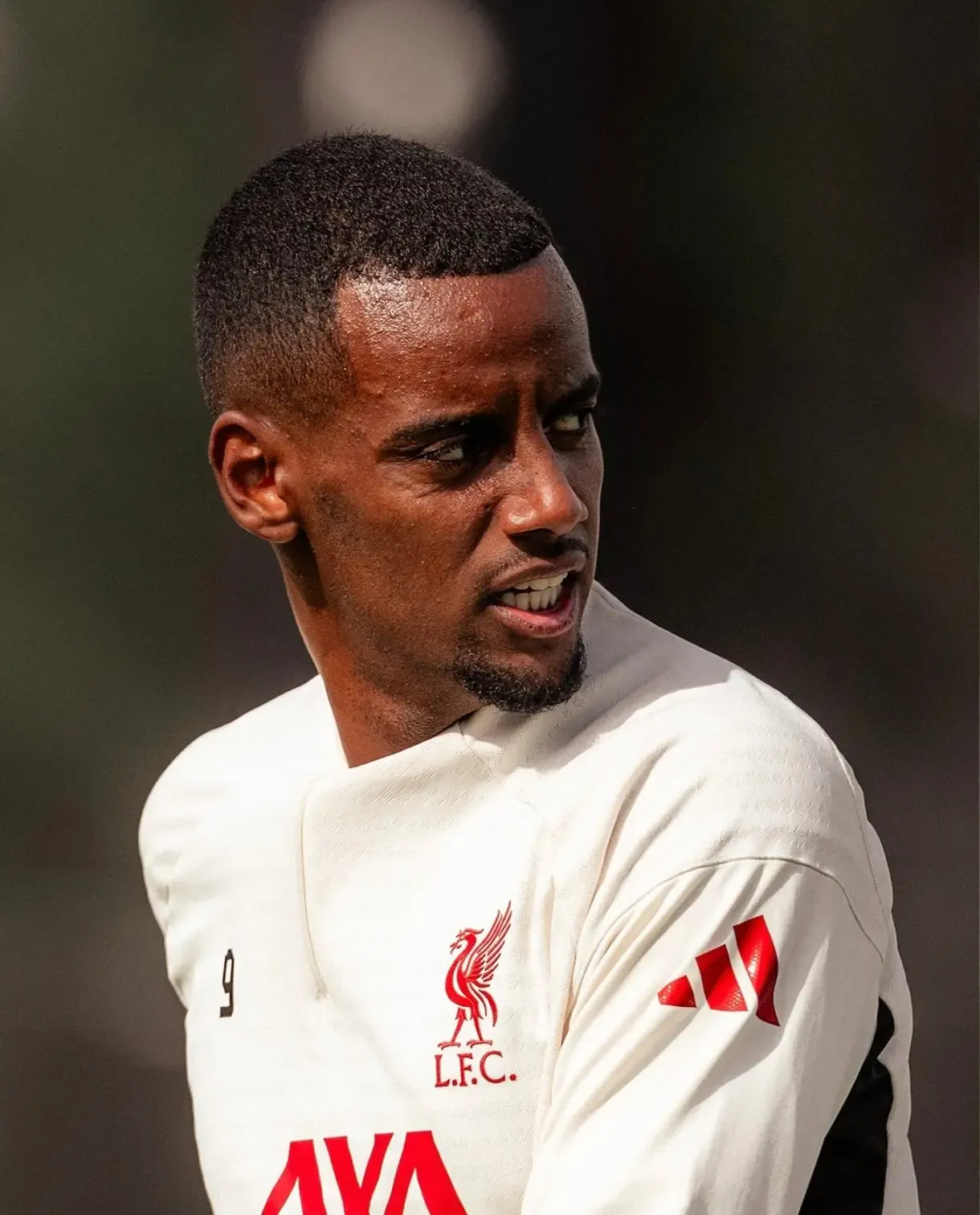 Will Alexander Isak Have Limited Playing Time at Liverpool?