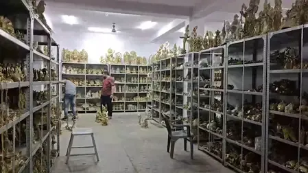 अलीगढ़: कांवड़ यात्रा को लेकर तैयारी जोरों पर, मूर्तियों की बढ़ी डिमांड